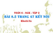 Bài 8.5 trang 47 Toán 6 Tập 2 Kết nối tri thức